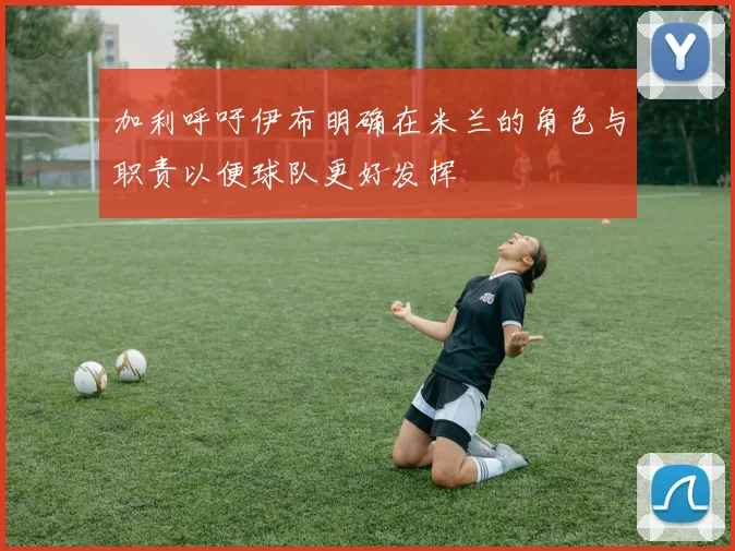 加利呼吁伊布明确在米兰的角色与职责以便球队更好发挥